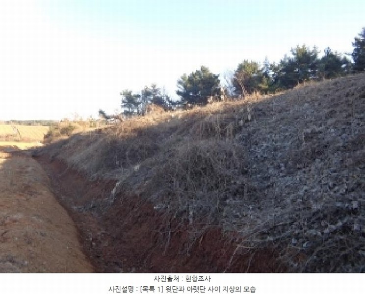 2025타경25 충청남도 서산시 부석면 강당리 47-2 임야 경매 이미지