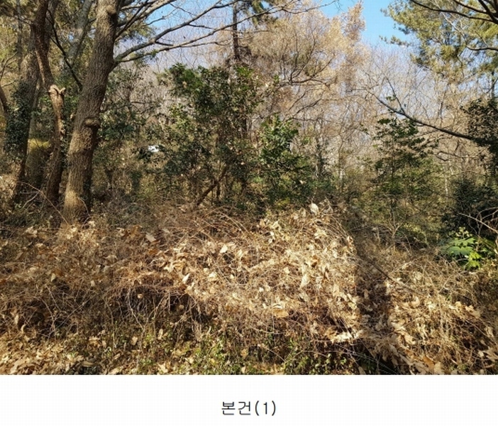 2025타경148 부산광역시 수영구 망미동 산67-5 임야 경매 이미지