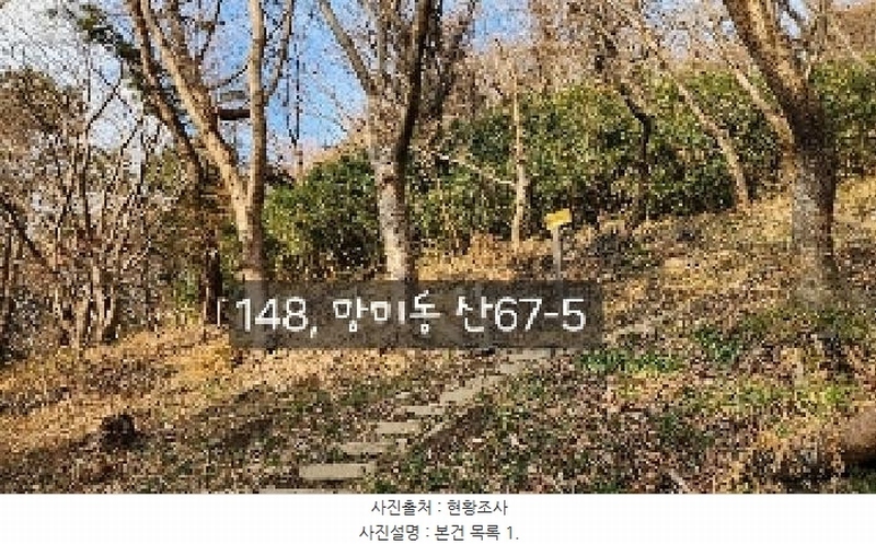 2025타경148 부산광역시 수영구 망미동 산67-5 임야 경매 이미지