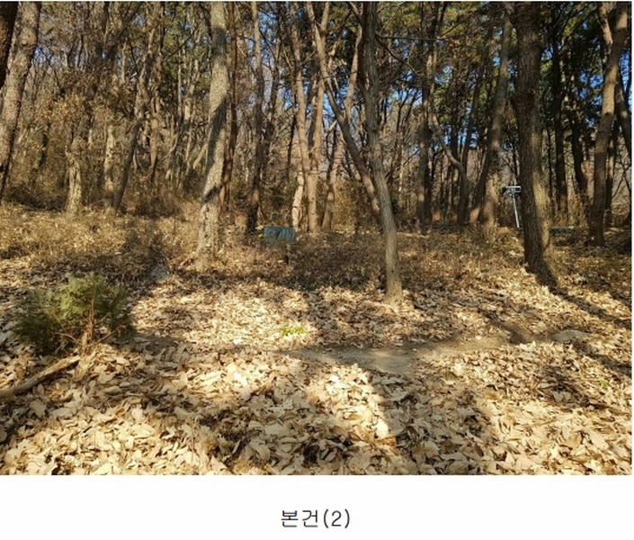 2025타경148 부산광역시 수영구 망미동 산67-5 임야 경매 이미지
