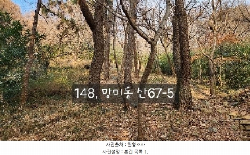 2025타경148 부산광역시 수영구 망미동 산67-5 임야 경매 이미지