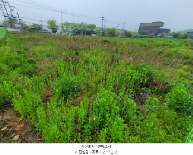 2025타경33277 경기도 김포시 대곶면 대벽리 82-1 농지 경매 이미지