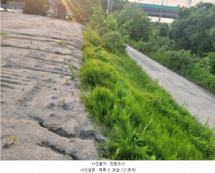 2025타경33426 경기도 김포시 고촌읍 신곡리 190-4 농지 경매 이미지