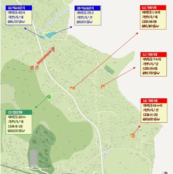 2025타경52084 경기도 안산시 단원구 대부동동 294-3 농지 경매 이미지