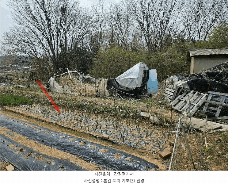 2025타경52084 경기도 안산시 단원구 대부동동 294-3 농지 경매 이미지