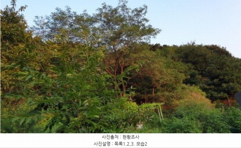 2025타경34233 경기도 김포시 대곶면 대벽리 654-7 임야 경매 이미지
