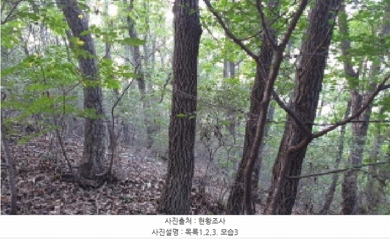 2025타경34233 경기도 김포시 대곶면 대벽리 654-7 임야 경매 이미지