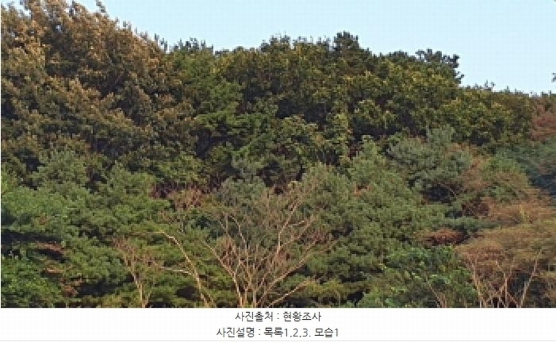 2025타경34233 경기도 김포시 대곶면 대벽리 654-7 임야 경매 이미지
