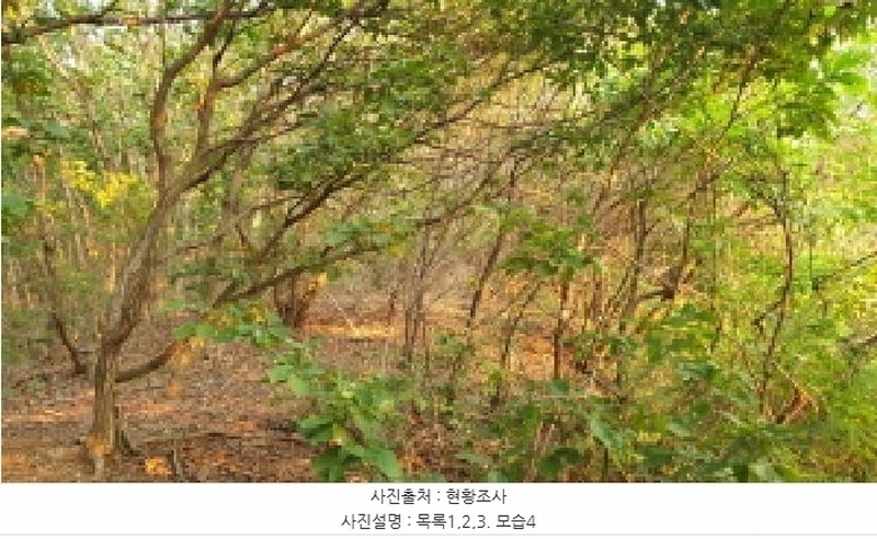 2025타경34233 경기도 김포시 대곶면 대벽리 654-7 임야 경매 이미지