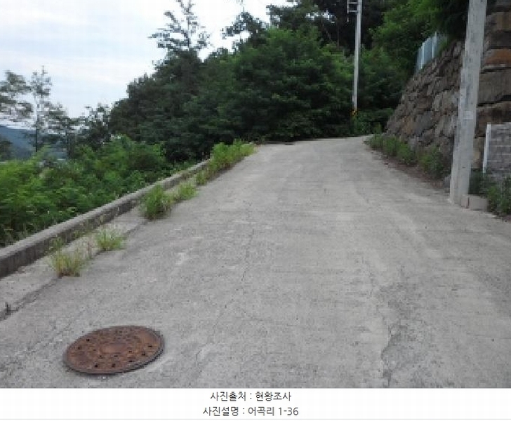 2025타경31531 경상북도 고령군 성산면 어곡리 1-36 임야 경매 이미지