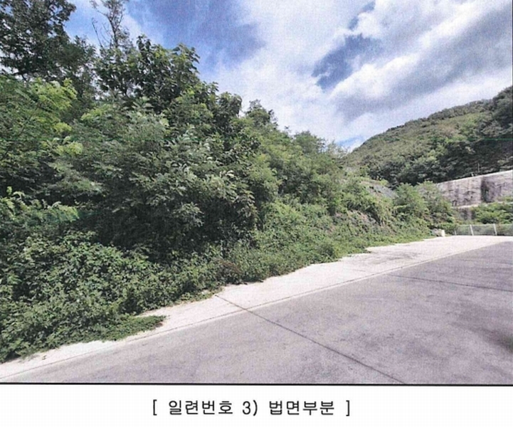 2025타경31531 경상북도 고령군 성산면 어곡리 1-36 임야 경매 이미지