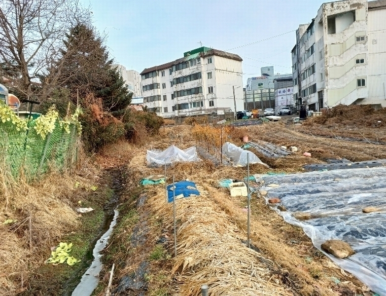 2024타경1137 경기도 김포시 양촌읍 양곡리 401 대지 경매 이미지