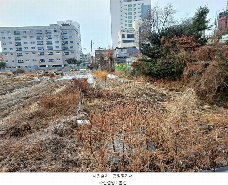 2024타경1137 경기도 김포시 양촌읍 양곡리 401 대지 경매 이미지