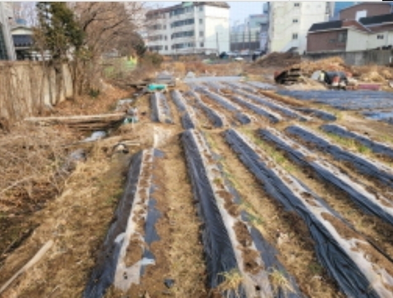 2024타경1137 경기도 김포시 양촌읍 양곡리 401 대지 경매 이미지