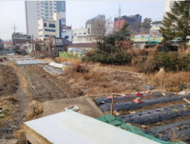 2024타경1137 경기도 김포시 양촌읍 양곡리 401 대지 경매 이미지