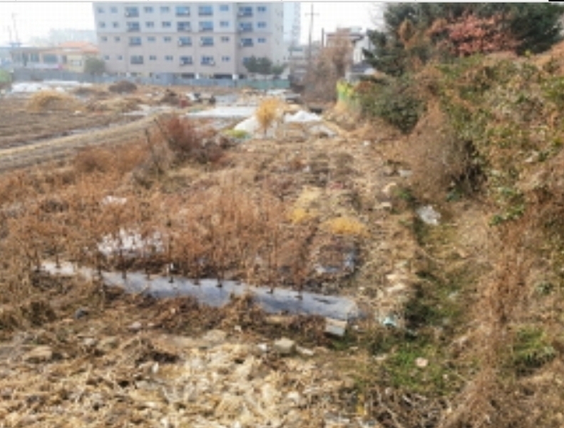 2024타경1137 경기도 김포시 양촌읍 양곡리 401 대지 경매 이미지