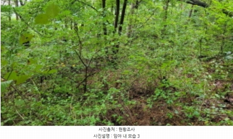 2024타경48761 경기도 김포시 사우동 산44 임야 경매 이미지