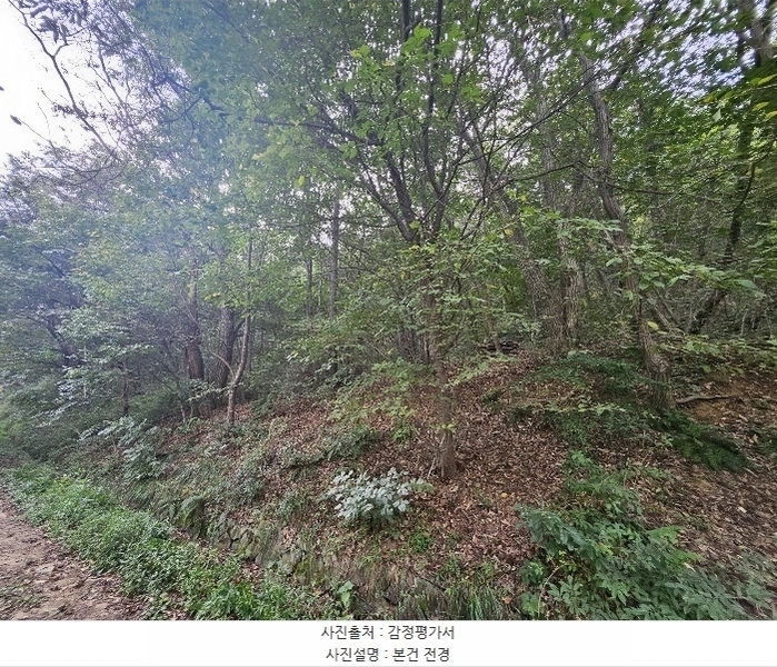2024타경48761 경기도 김포시 사우동 산44 임야 경매 이미지