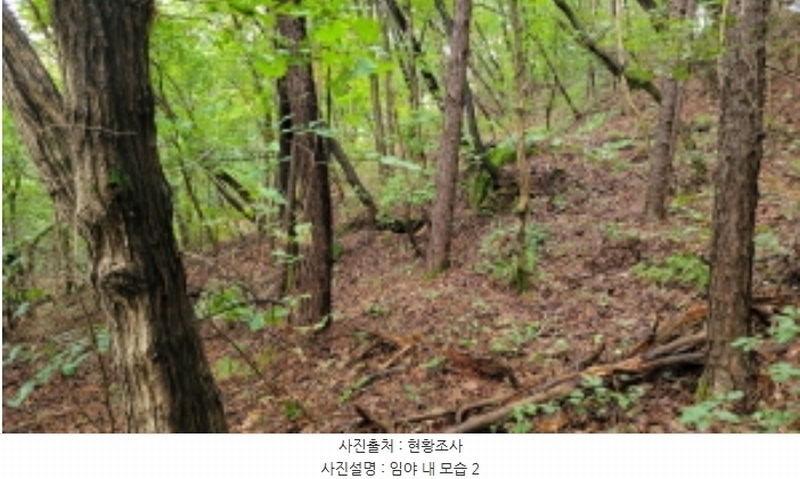 2024타경48761 경기도 김포시 사우동 산44 임야 경매 이미지