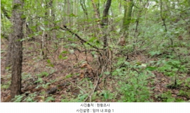 2024타경48761 경기도 김포시 사우동 산44 임야 경매 이미지