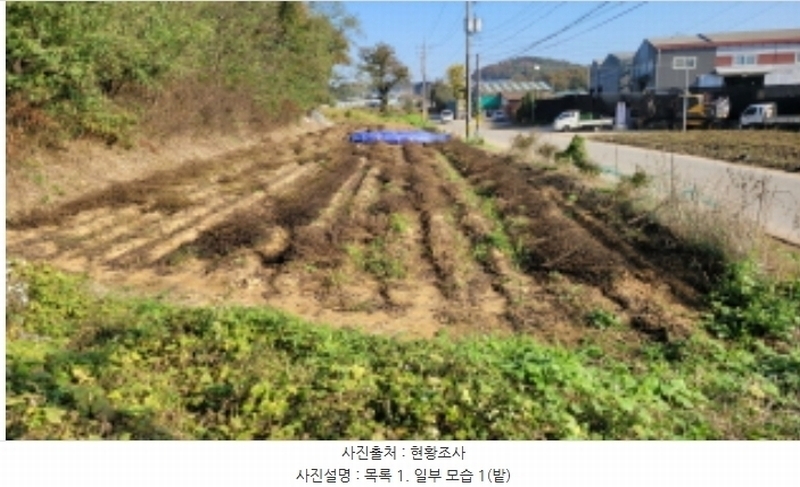 2024타경52173 경기도 김포시 월곶면 갈산리 산31-1 임야 경매 이미지