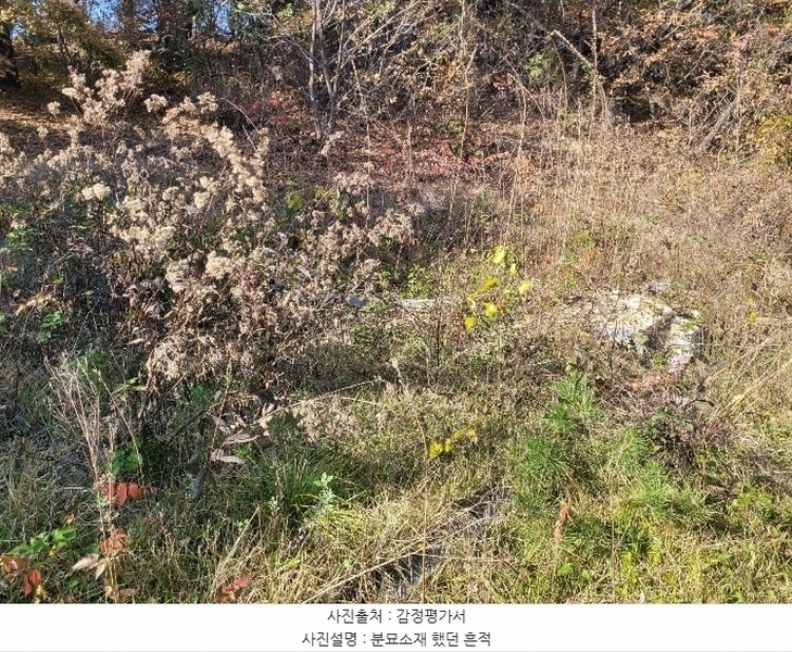 2024타경52173 경기도 김포시 월곶면 갈산리 산31-1 임야 경매 이미지