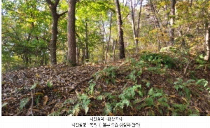 2024타경52173 경기도 김포시 월곶면 갈산리 산31-1 임야 경매 이미지