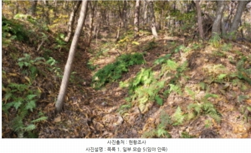 2024타경52173 경기도 김포시 월곶면 갈산리 산31-1 임야 경매 이미지