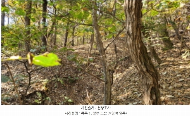 2024타경52173 경기도 김포시 월곶면 갈산리 산31-1 임야 경매 이미지