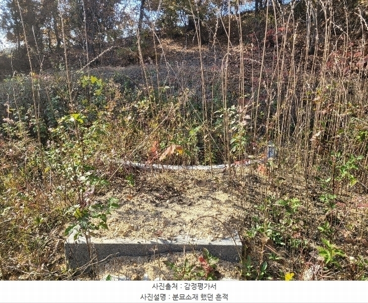 2024타경52173 경기도 김포시 월곶면 갈산리 산31-1 임야 경매 이미지