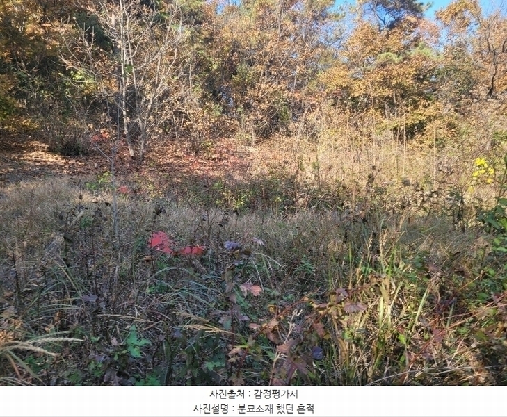 2024타경52173 경기도 김포시 월곶면 갈산리 산31-1 임야 경매 이미지