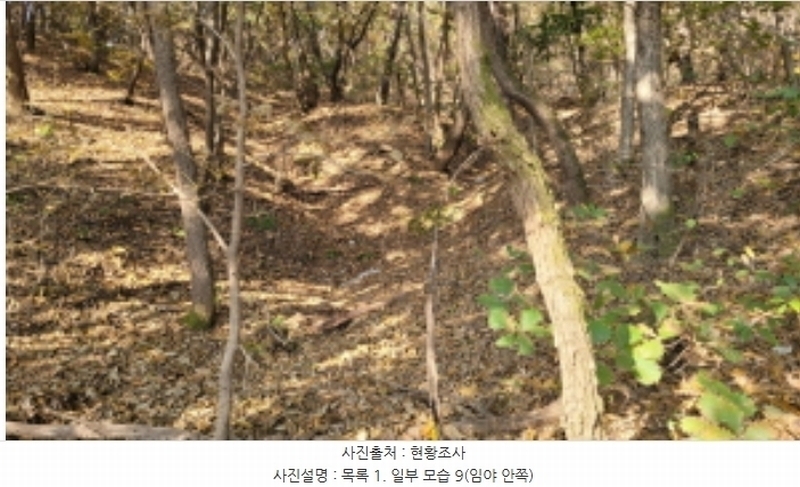 2024타경52173 경기도 김포시 월곶면 갈산리 산31-1 임야 경매 이미지