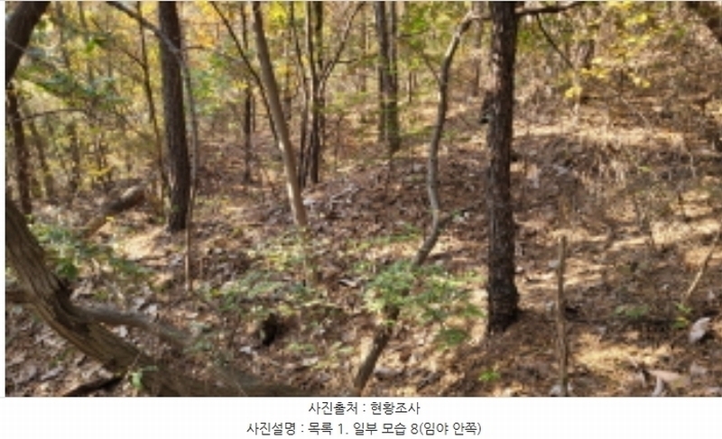 2024타경52173 경기도 김포시 월곶면 갈산리 산31-1 임야 경매 이미지