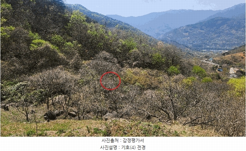 2025타경629 경상남도 하동군 화개면 부춘리 410 농지 경매 이미지