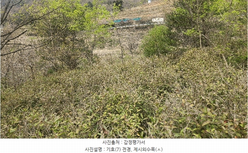 2025타경629 경상남도 하동군 화개면 부춘리 410 농지 경매 이미지
