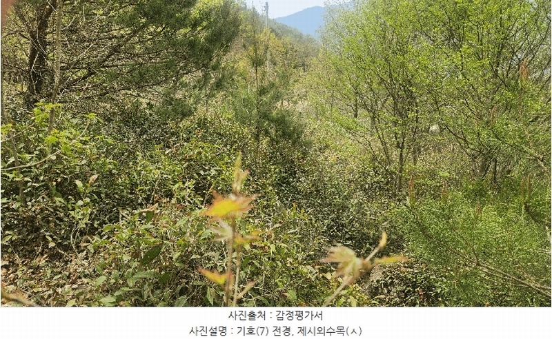 2025타경629 경상남도 하동군 화개면 부춘리 410 농지 경매 이미지
