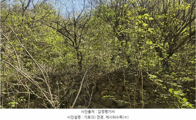 2025타경629 경상남도 하동군 화개면 부춘리 410 농지 경매 이미지