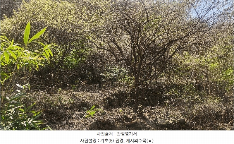 2025타경629 경상남도 하동군 화개면 부춘리 410 농지 경매 이미지