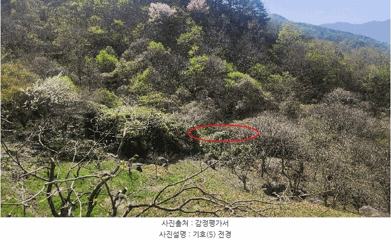 2025타경629 경상남도 하동군 화개면 부춘리 410 농지 경매 이미지