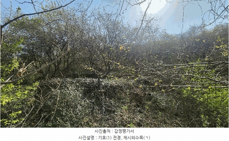 2025타경629 경상남도 하동군 화개면 부춘리 410 농지 경매 이미지
