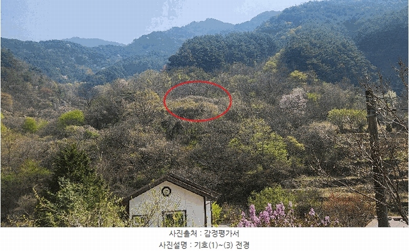 2025타경629 경상남도 하동군 화개면 부춘리 410 농지 경매 이미지