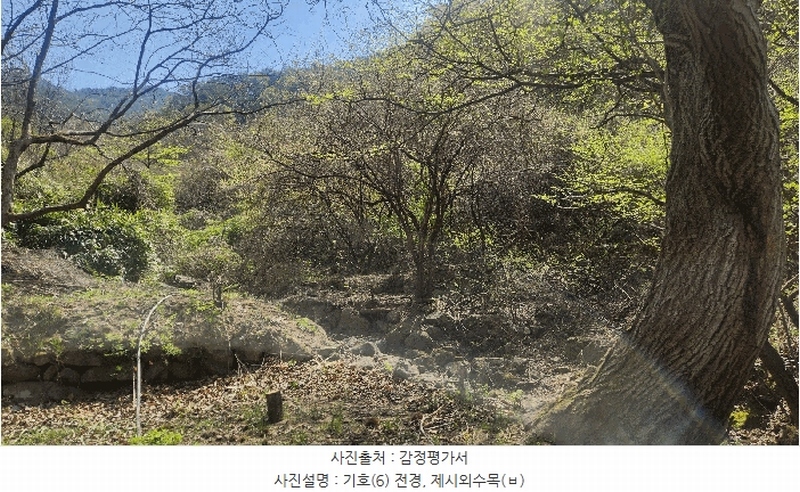 2025타경629 경상남도 하동군 화개면 부춘리 410 농지 경매 이미지