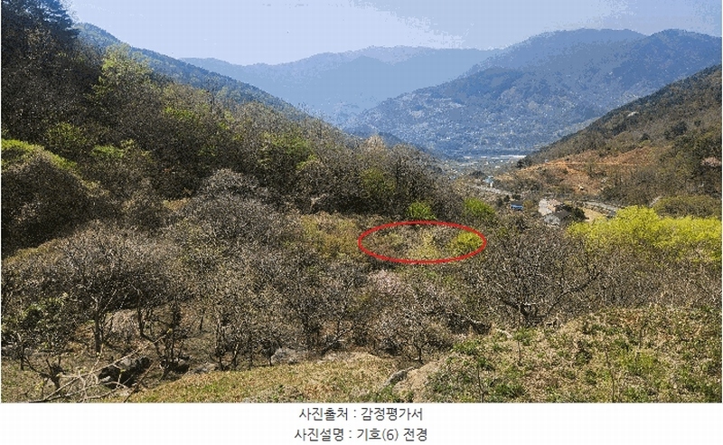 2025타경629 경상남도 하동군 화개면 부춘리 410 농지 경매 이미지