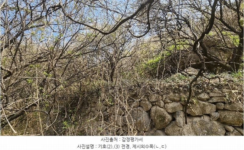 2025타경629 경상남도 하동군 화개면 부춘리 410 농지 경매 이미지