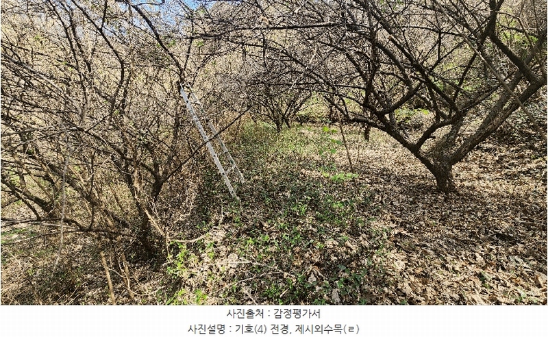 2025타경629 경상남도 하동군 화개면 부춘리 410 농지 경매 이미지