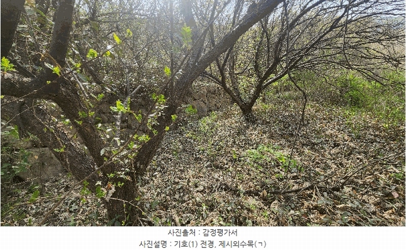 2025타경629 경상남도 하동군 화개면 부춘리 410 농지 경매 이미지