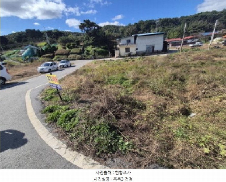 2025타경3888 세종특별자치시 금남면 달전리 699-87 농지 경매 이미지