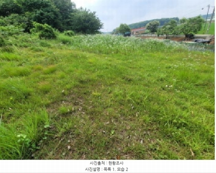 2025타경33483 경기도 김포시 하성면 마조리 산12-1 임야 경매 이미지