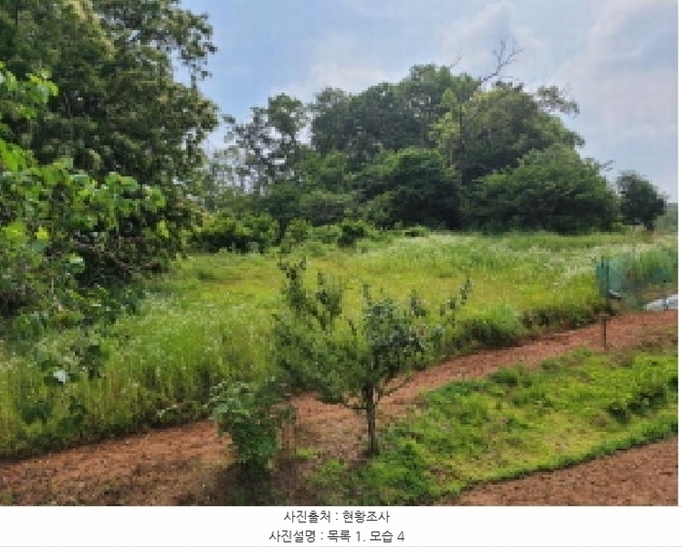 2025타경33483 경기도 김포시 하성면 마조리 산12-1 임야 경매 이미지