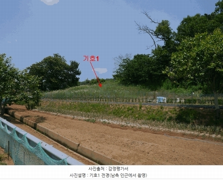 2025타경33483 경기도 김포시 하성면 마조리 산12-1 임야 경매 이미지